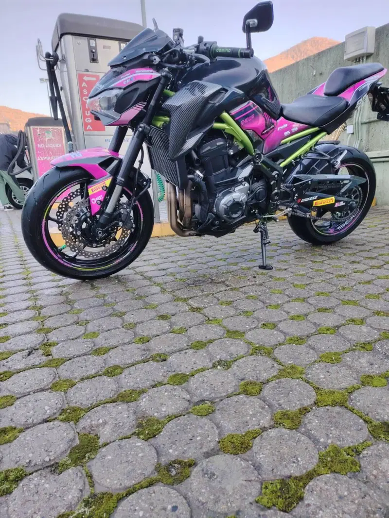 Kawasaki Z 900 Performance (2019) (8)