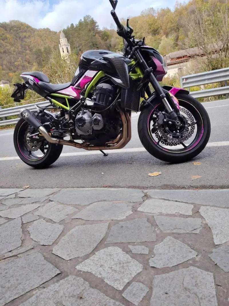 Kawasaki Z 900 Performance (2019) (2)