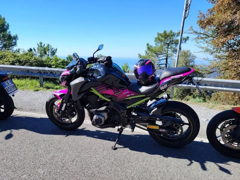 Kawasaki Z 900 Performance (2019) (11)