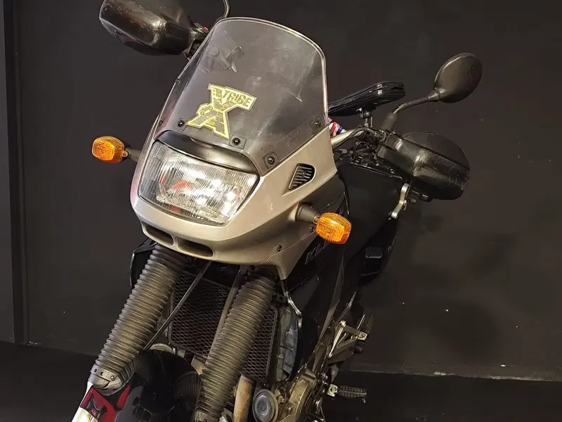 Kawasaki KLE 500 (2001 - 04) (3)
