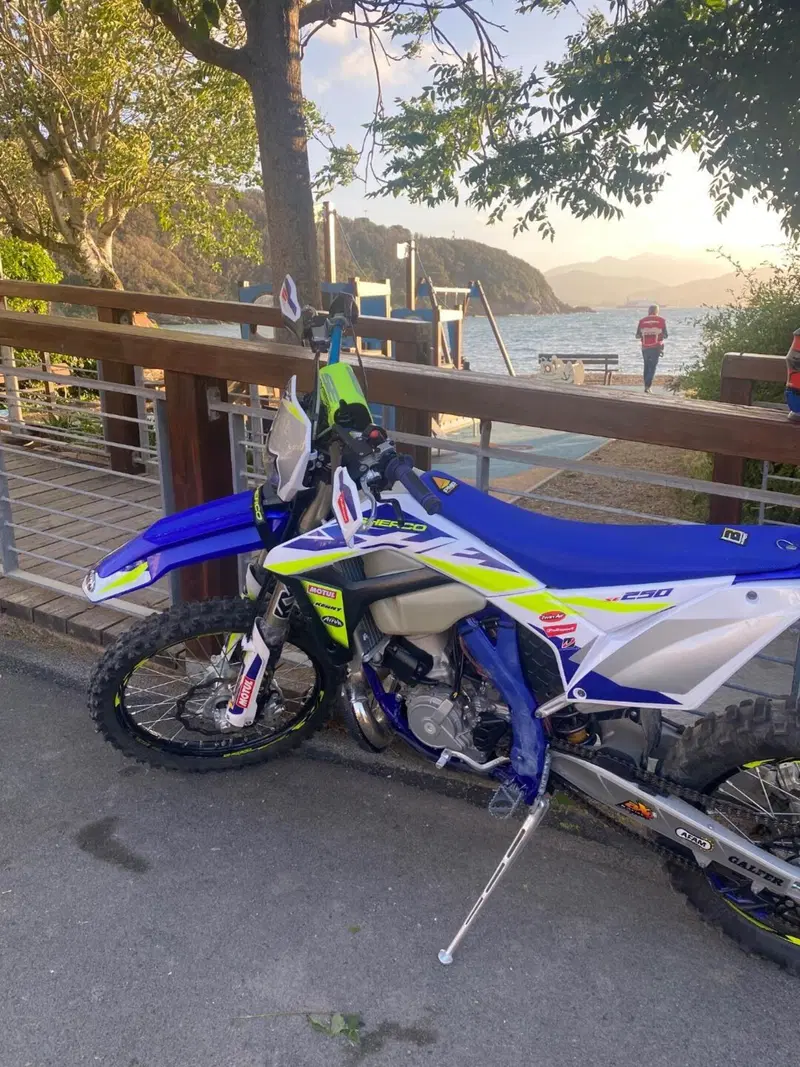 Sherco 250 SE Factory (2020)