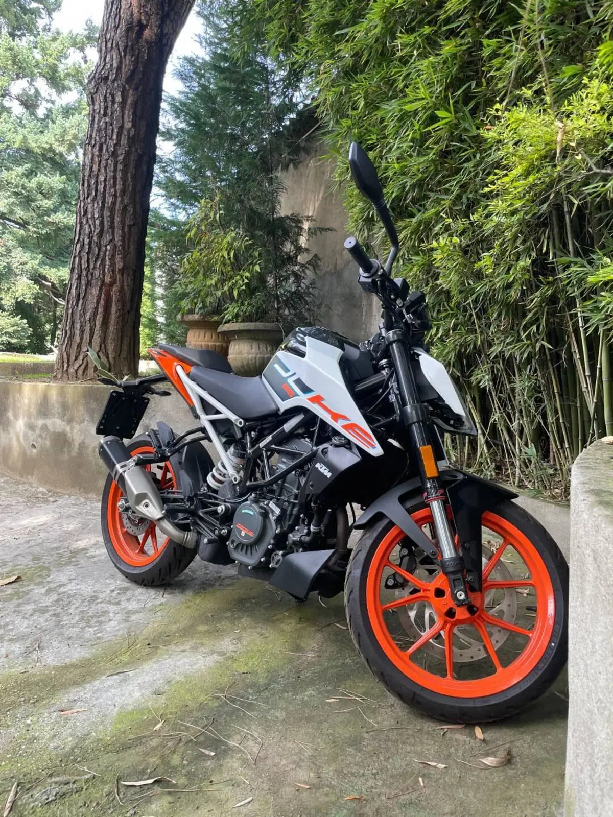 KTM 125 Duke (2024 - 25) (3)