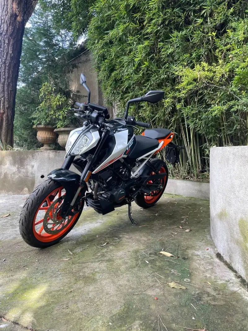 KTM 125 Duke (2024 - 25) (4)