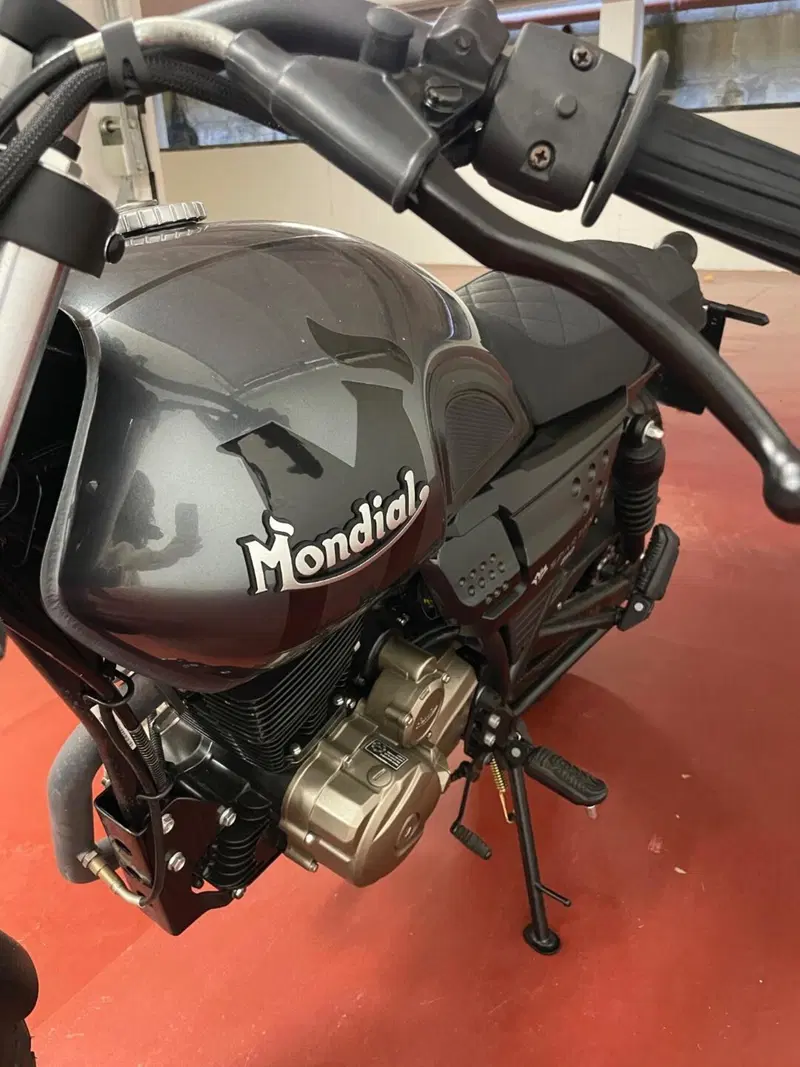 FB Mondial Spartan 250 (2024) (8)