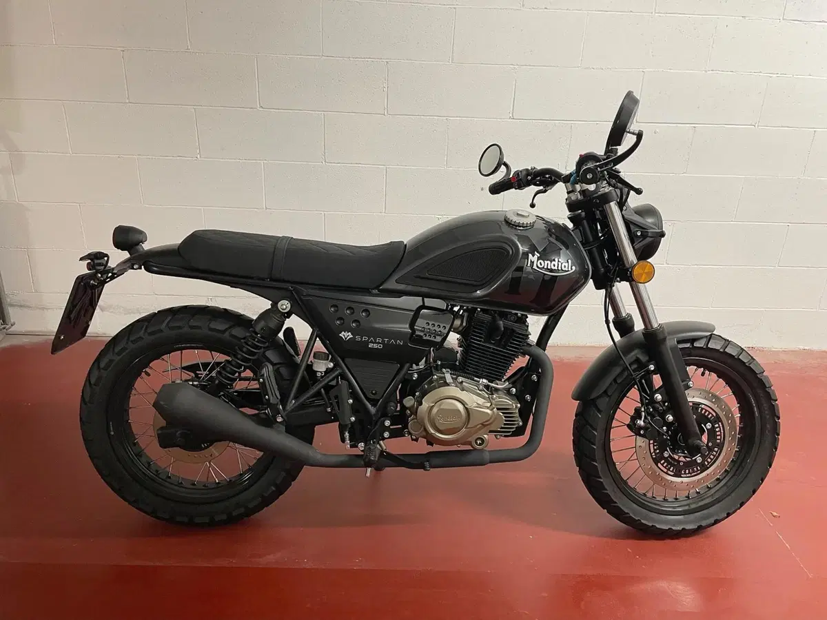 FB Mondial Spartan 250 (2024) (2)