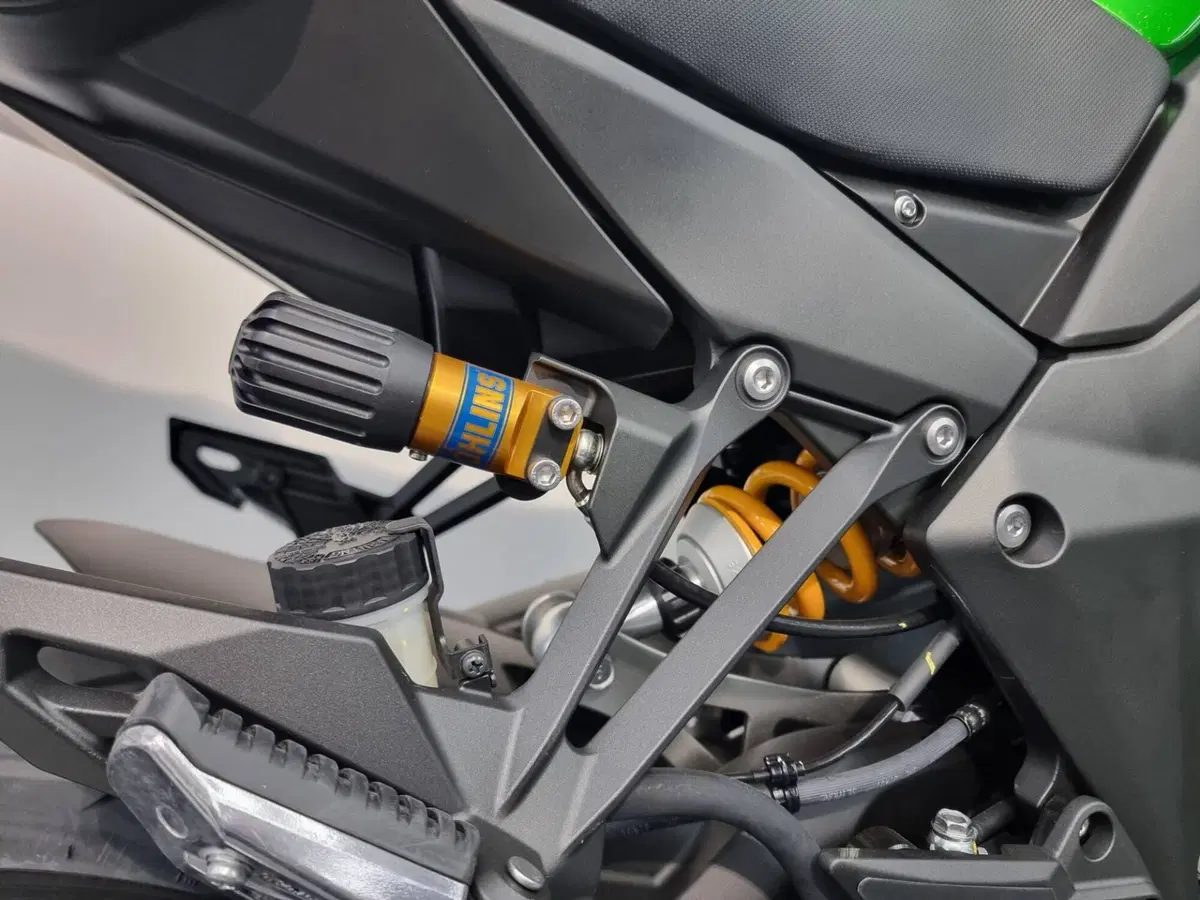 Kawasaki Ninja 1100 SX SE (2025 - 26) (6)