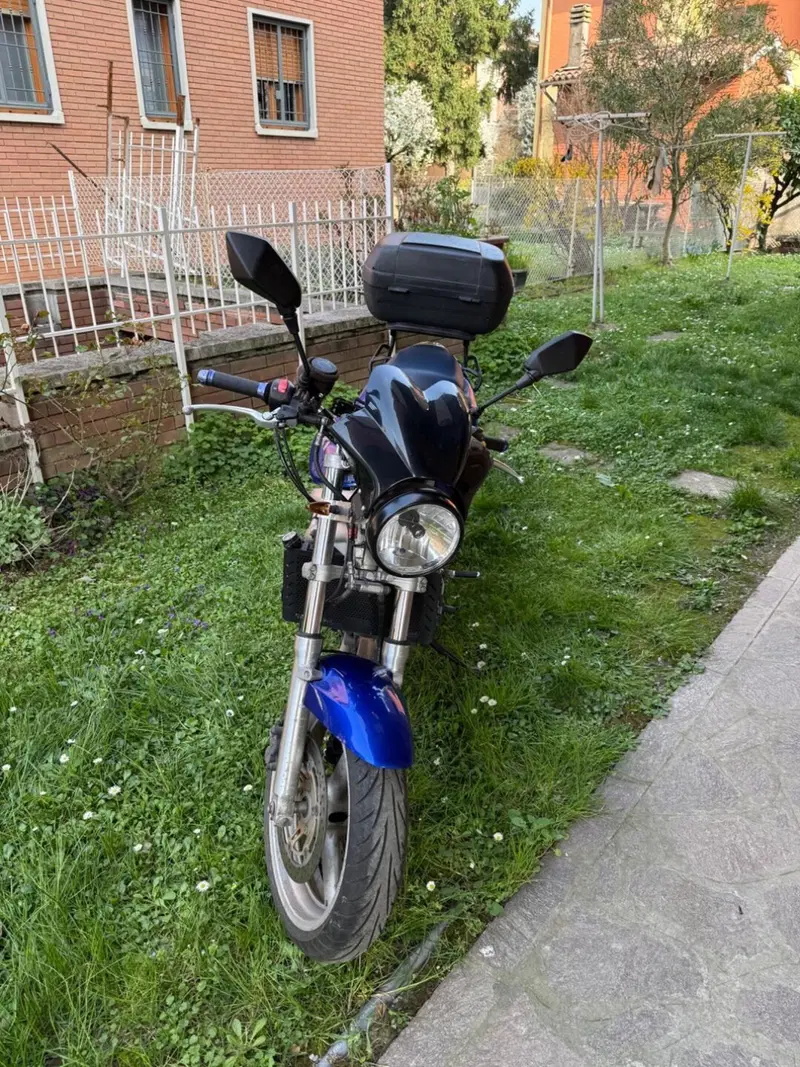 Suzuki SV 650 (1999 - 02) (3)