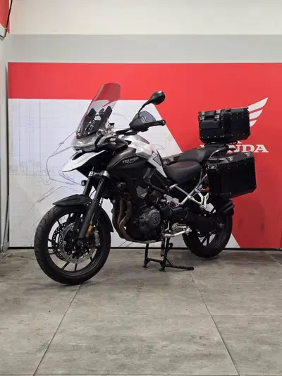 Triumph Tiger 1200 GT Pro (2024 - 26) usata