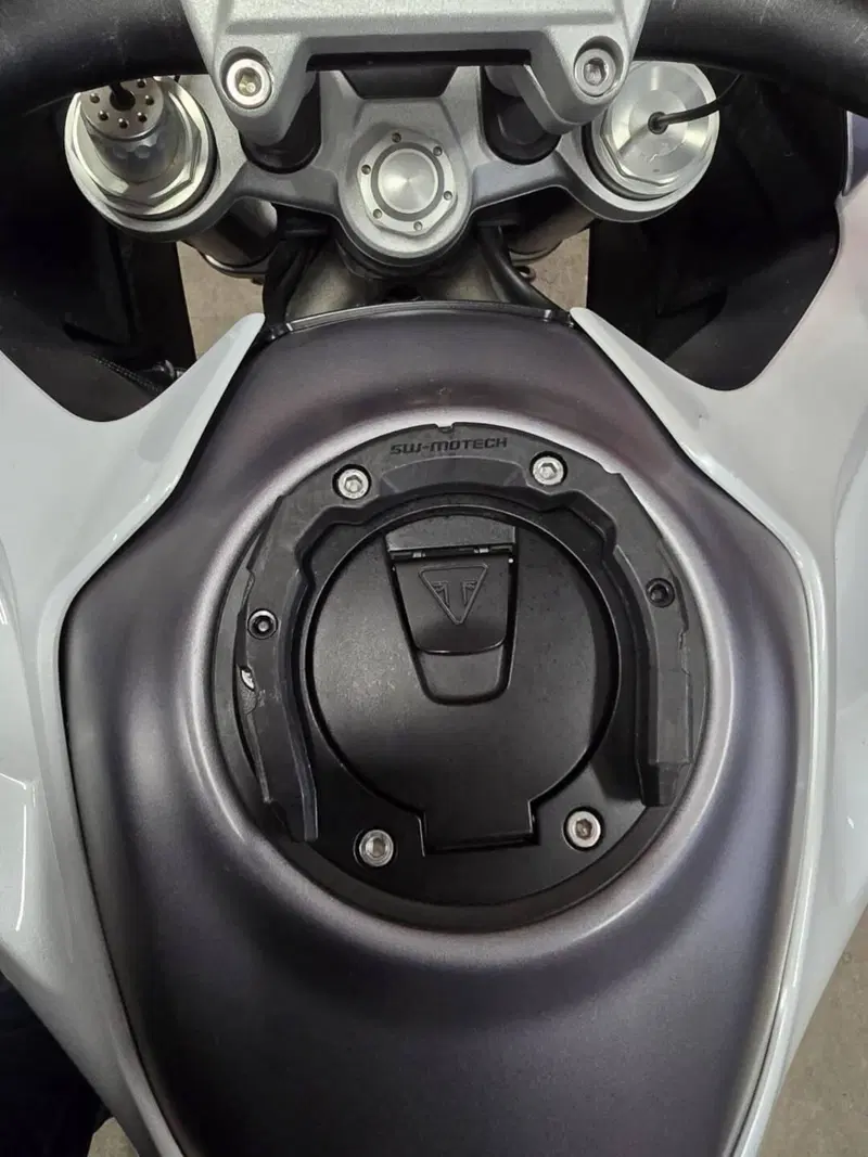 Triumph Tiger 1200 GT Pro (2024 - 26) (9)