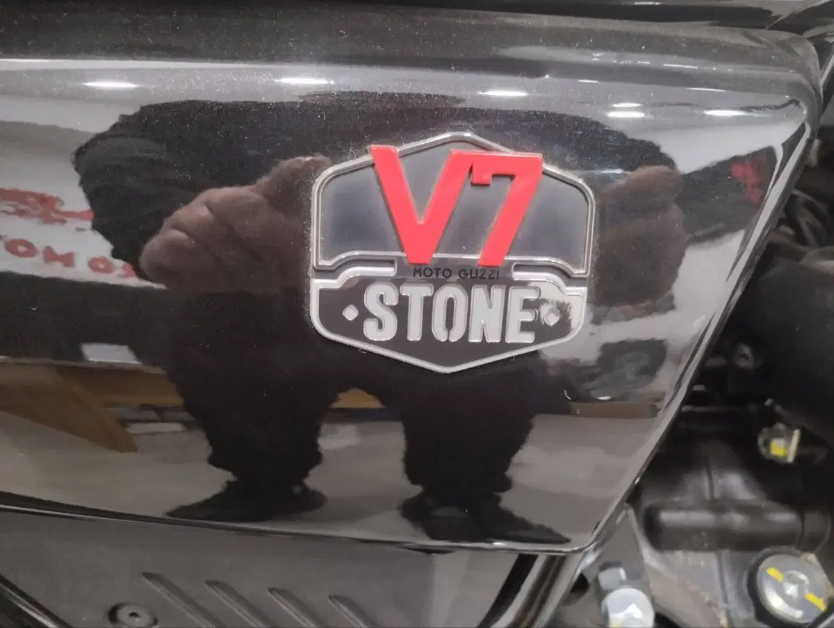 Moto Guzzi V7 Stone Ten (2024 - 25) (7)
