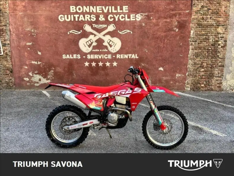GASGAS EC 250 F (2024) (25)