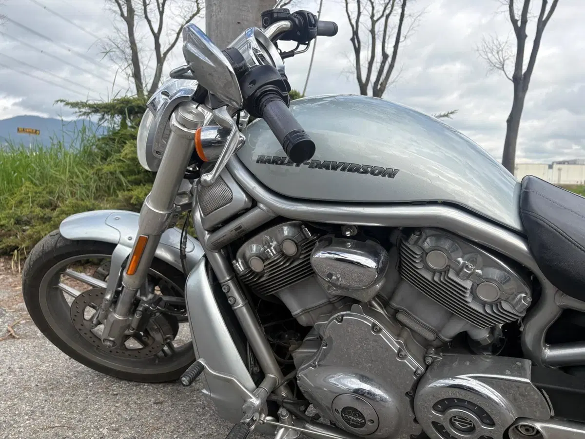 Harley-Davidson 1250 V-Rod Muscle (2009 - 17) - VRSCF (2)