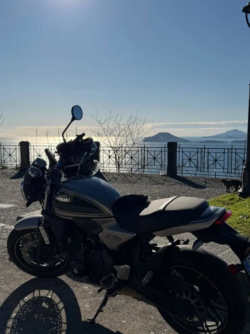 Kawasaki Z 650 RS (2022 - 24)
