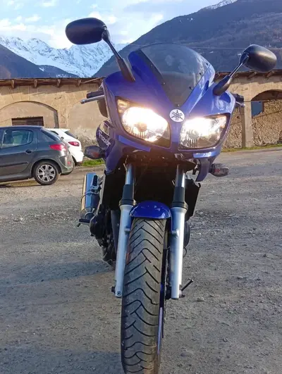 Yamaha FZ6 Fazer (2004 - 07) usata