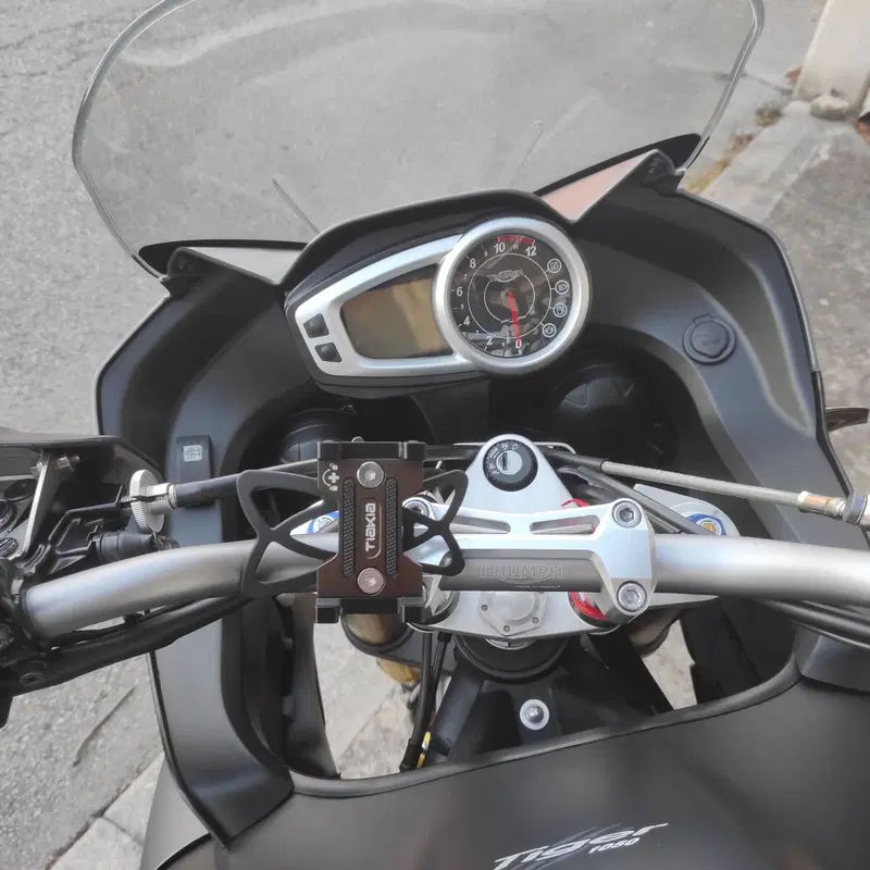 Triumph Tiger 1050 SE ABS (2006 - 13) (5)