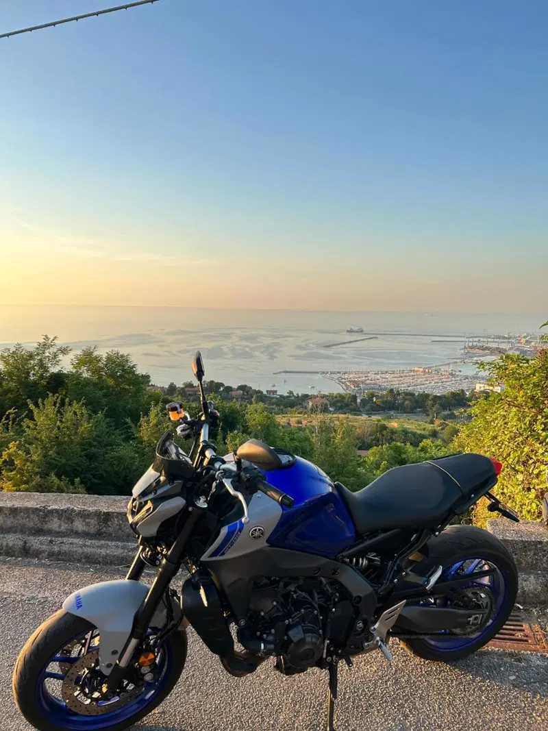 Yamaha MT-09 (2021 - 23) (3)