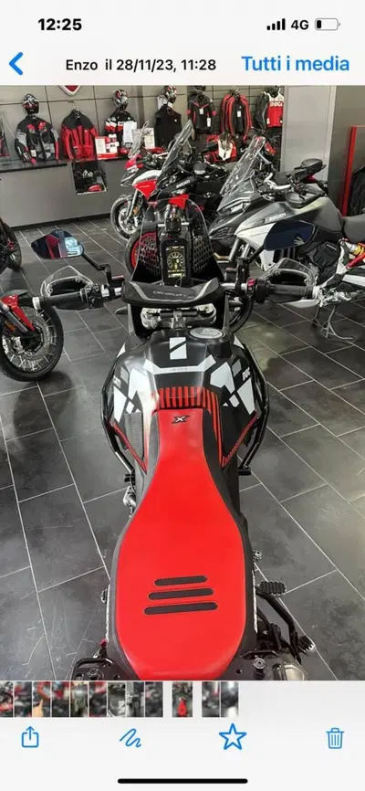 Ducati DesertX (2022 - 25) usata