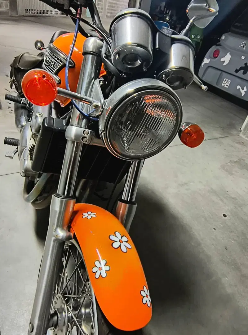 Triumph Thunderbird  (4)
