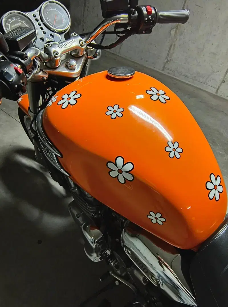 Triumph Thunderbird  (7)