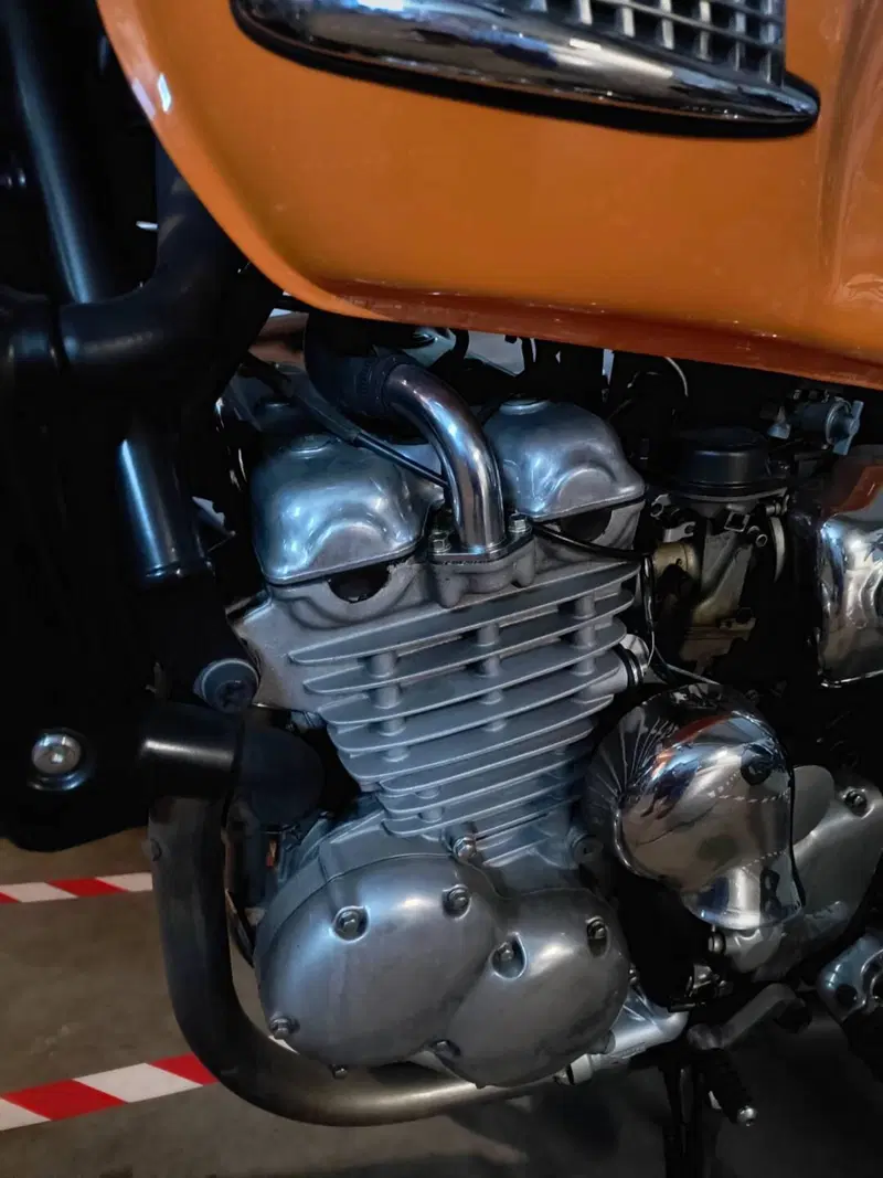 Triumph Thunderbird  (9)
