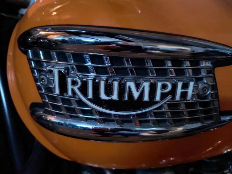 Triumph Thunderbird  (8)