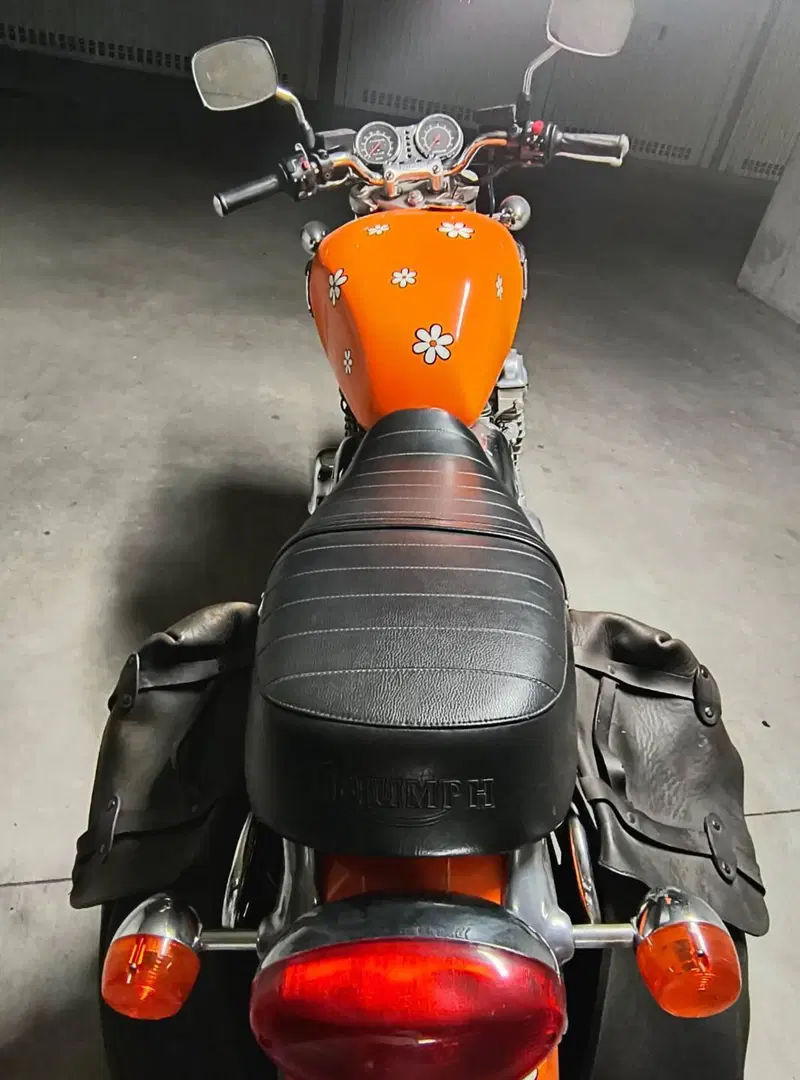 Triumph Thunderbird 900 (1995 - 01) (2)