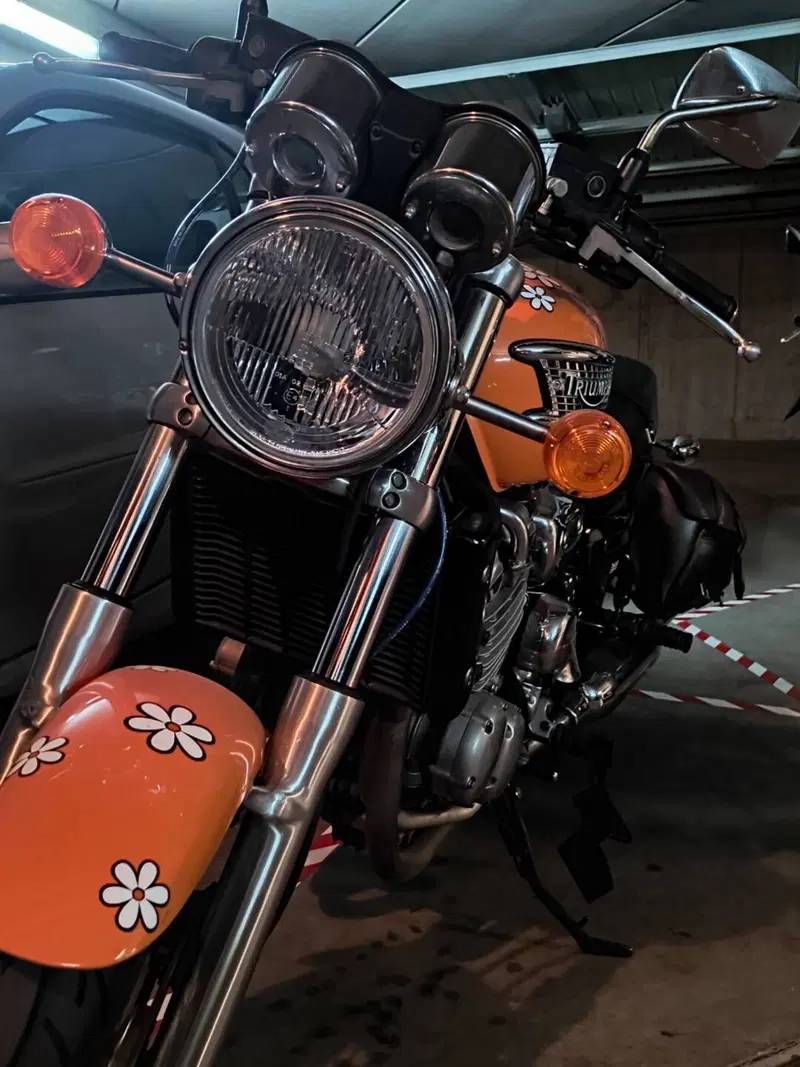 Triumph Thunderbird 900 (1995 - 01) (3)