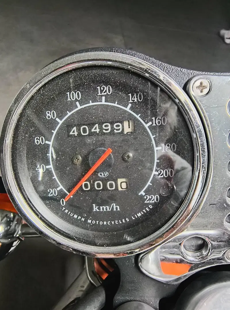 Triumph Thunderbird 900 (1995 - 01) (11)