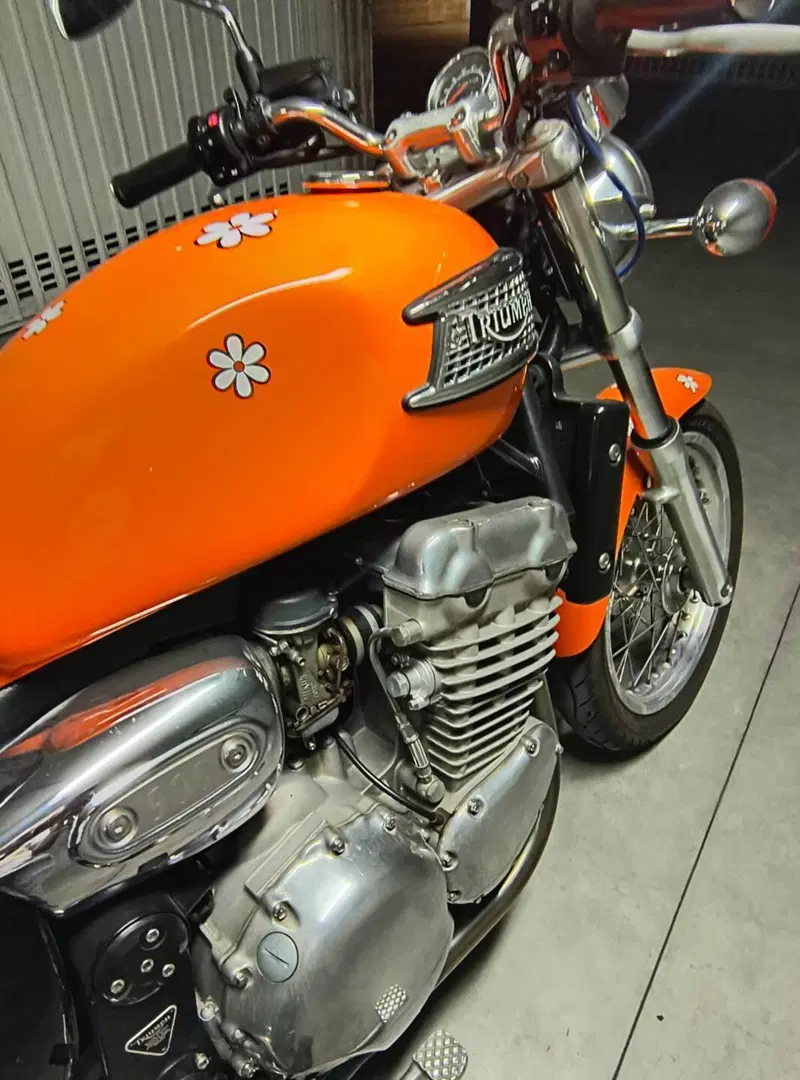 Triumph Thunderbird 900 (1995 - 01) (9)