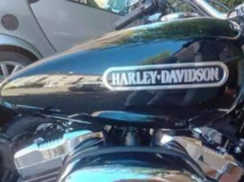 Harley-Davidson 1200 Low (2008 - 09) - XL 1200L (3)