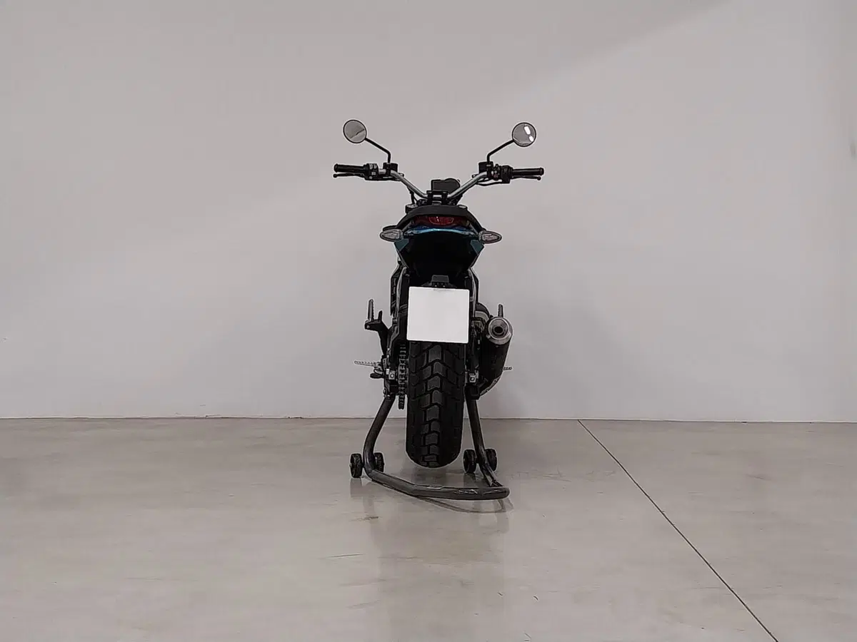 Ducati Scrambler 800 Icon (2023 - 24) (4)