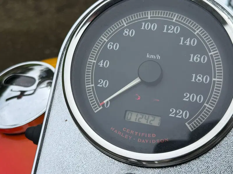 Harley-Davidson 1450 Springer (2002 - 04) - FXSTSI (5)