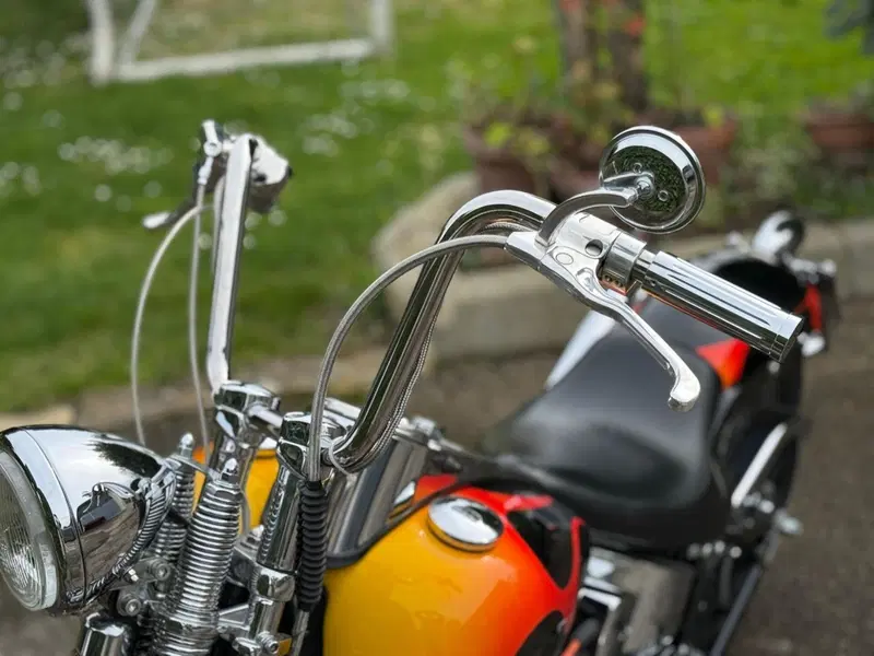 Harley-Davidson 1450 Springer (2002 - 04) - FXSTSI (8)