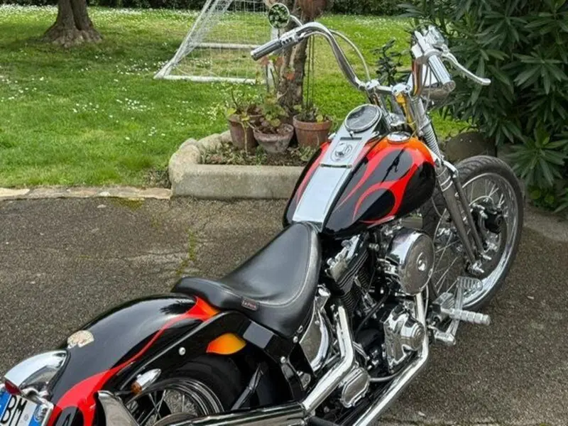 Harley-Davidson 1450 Springer (2002 - 04) - FXSTSI (18)