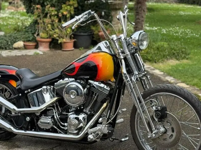 Harley-Davidson 1450 Springer (2002 - 04) - FXSTSI (19)