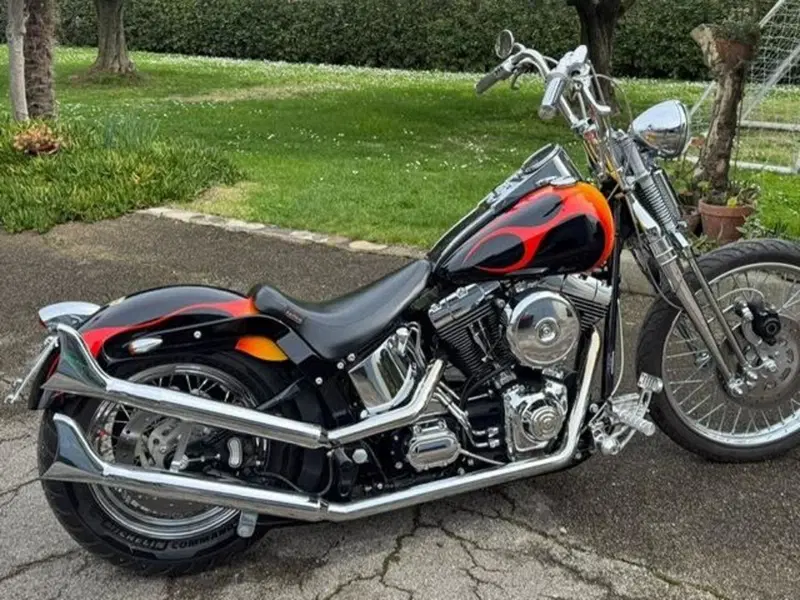 Harley-Davidson 1450 Springer (2002 - 04) - FXSTSI (4)