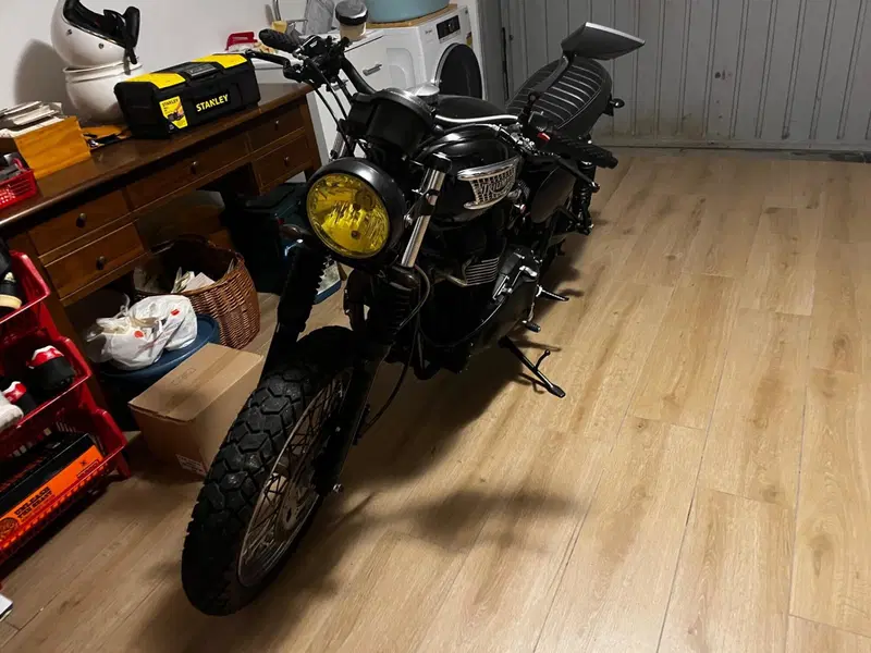 Triumph Bonneville T100 (2008 - 16) (12)
