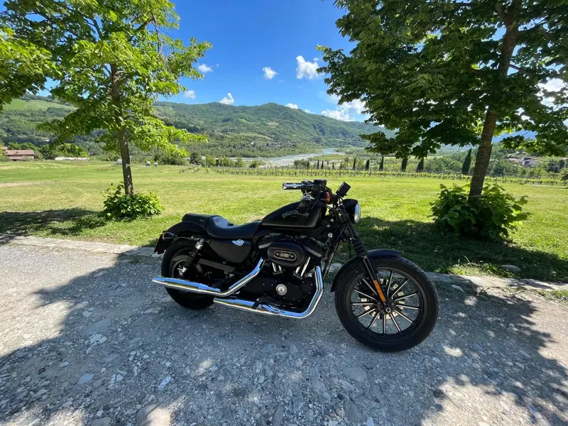 Harley-Davidson 883 Iron (2012 - 14) - XL 883N (2)