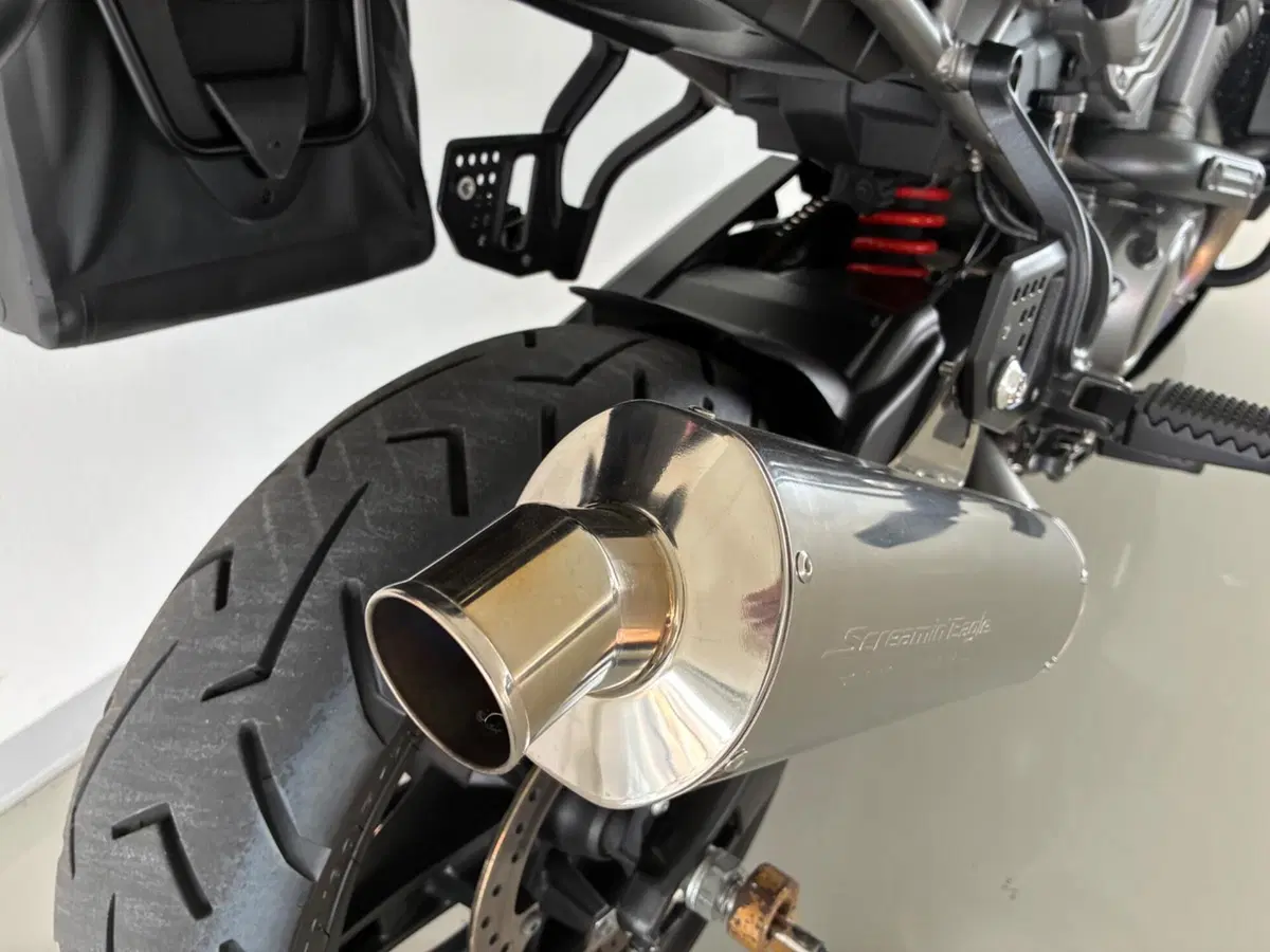 Harley-Davidson Pan America 1250 (2020 - 25) (8)