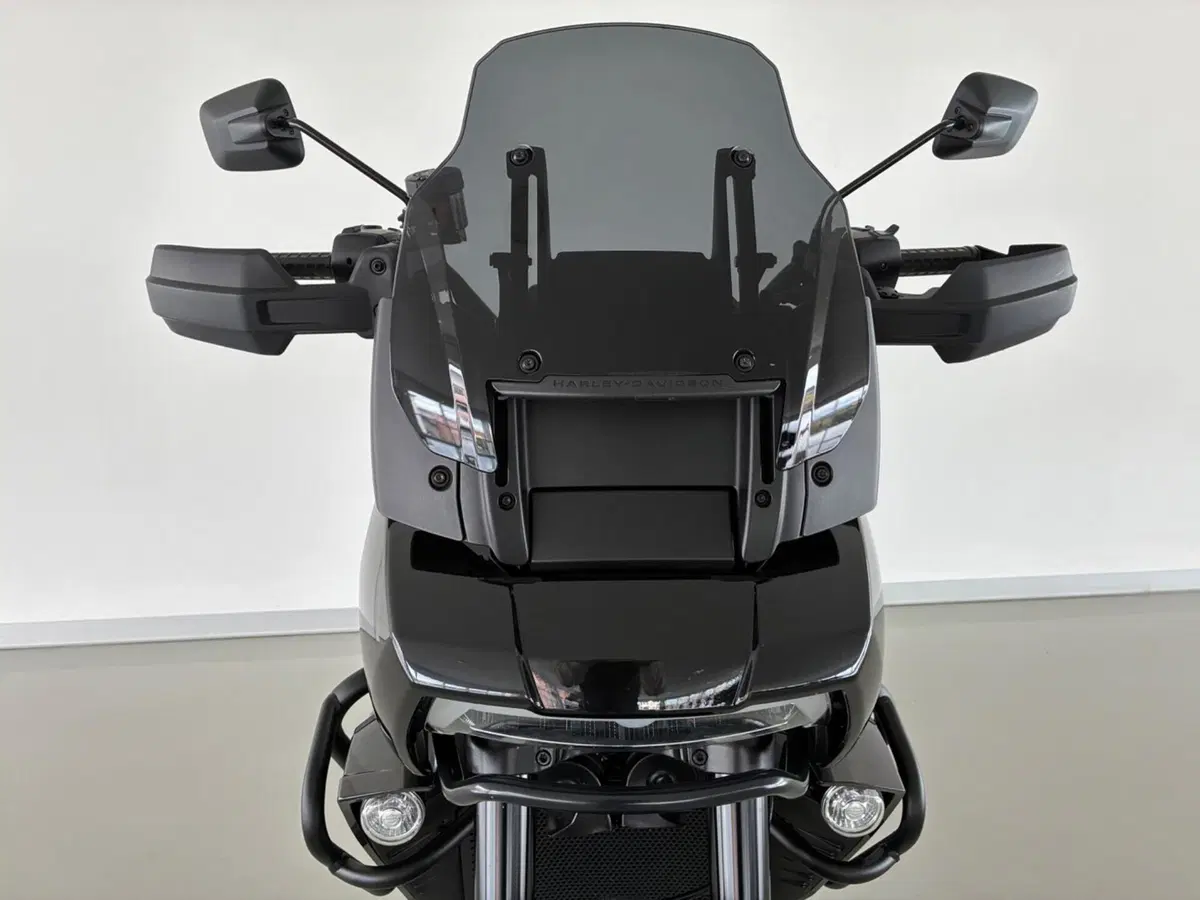Harley-Davidson Pan America 1250 (2020 - 25) (11)