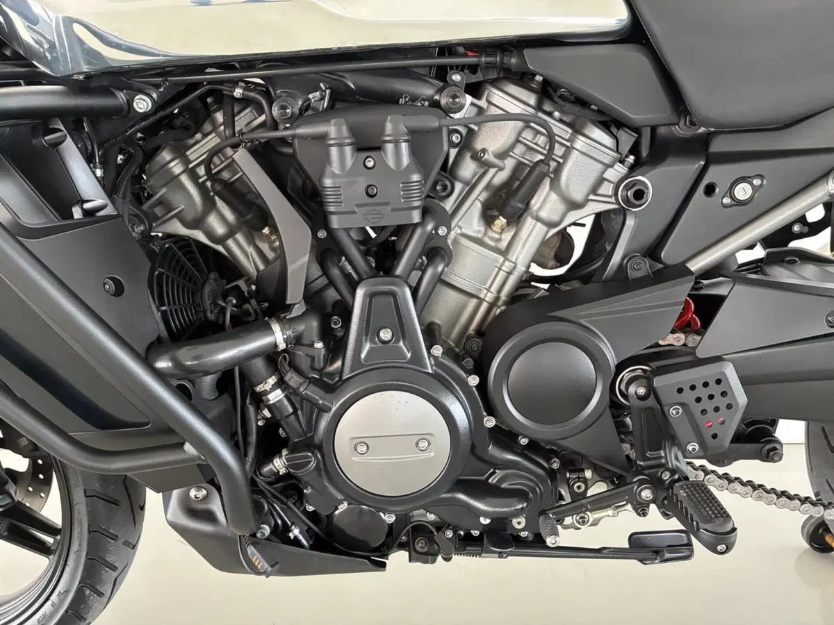 Harley-Davidson Pan America 1250 (2020 - 25) (6)