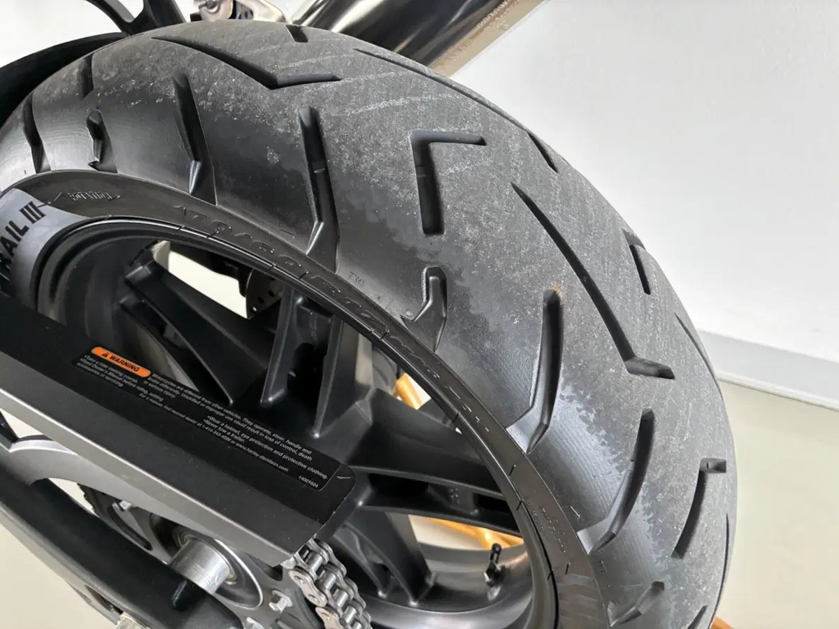 Harley-Davidson Pan America 1250 (2020 - 25) (18)