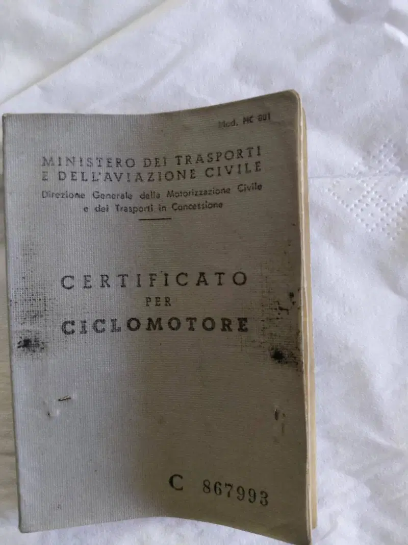 Gabbiano Gioiello (5)