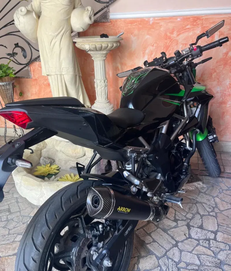 Kawasaki Z 125 (2021 - 24) (3)