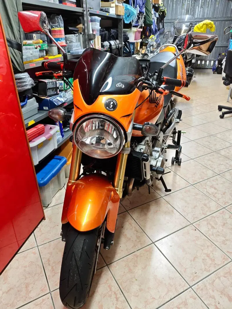 Honda Hornet 600 (2005 - 06)
