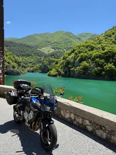 Yamaha FZ1 Fazer (2006 - 16) usata