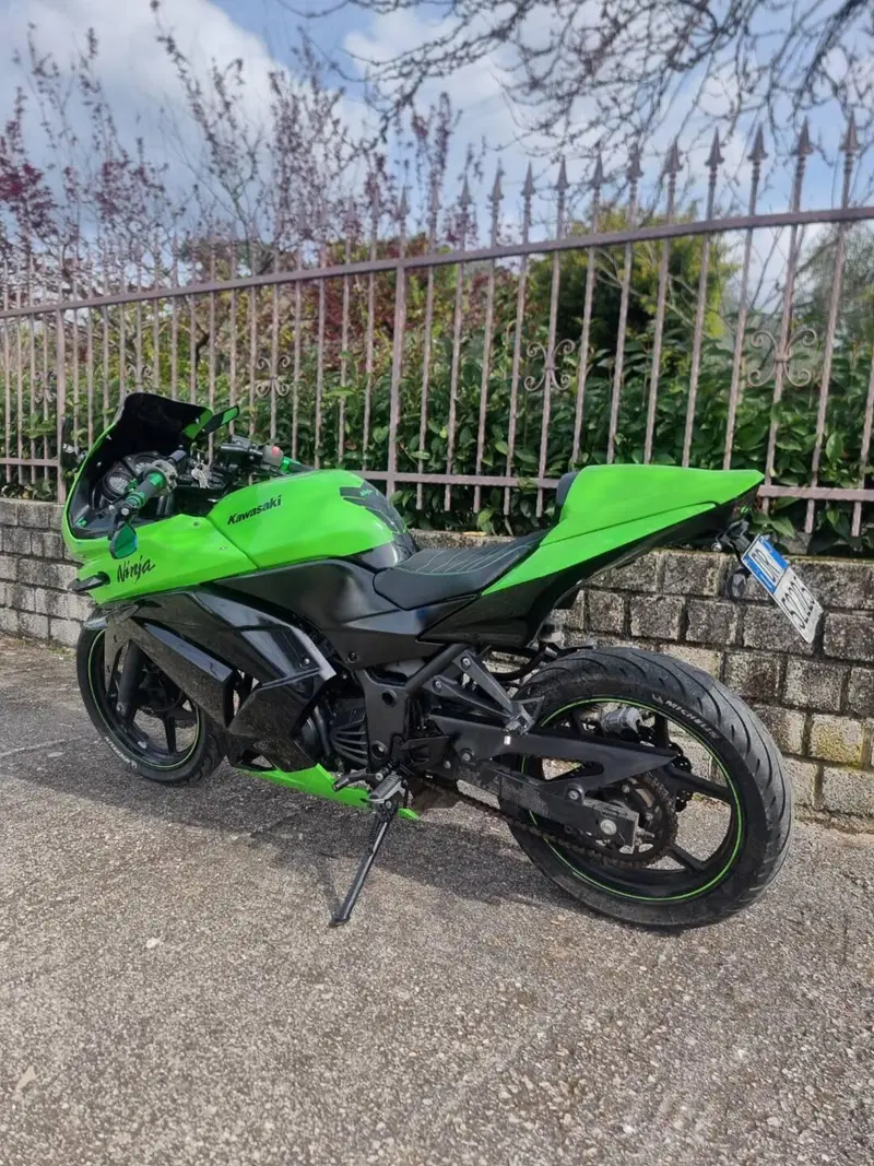 Kawasaki Ninja 250 R (2007 - 13) (2)