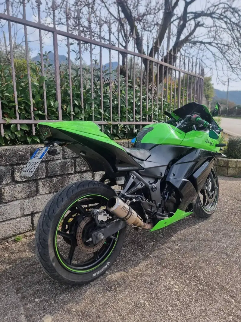 Kawasaki Ninja 250 R (2007 - 13) (3)