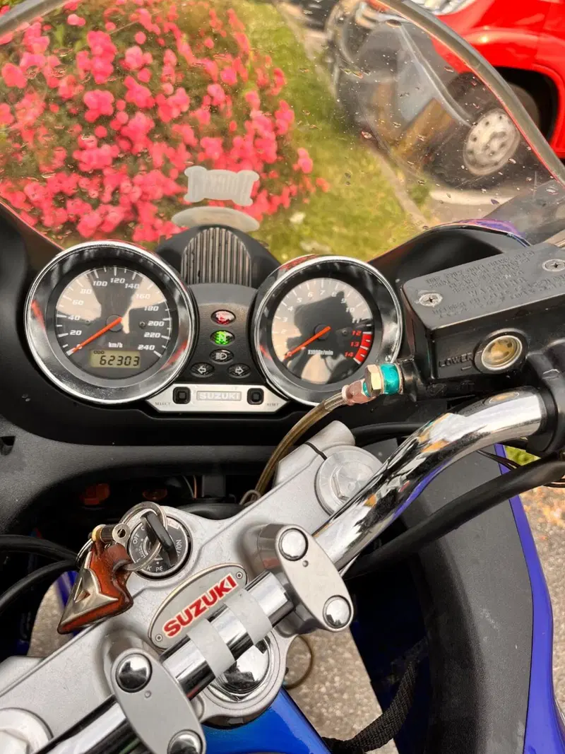Suzuki GSF 600 Bandit S (2000 - 05) (2)