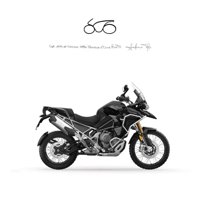 Triumph Tiger 1200 Rally Explorer (2024 - 26)